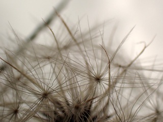 P4162455a